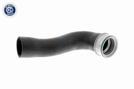 Charge Air Hose - V10-3769