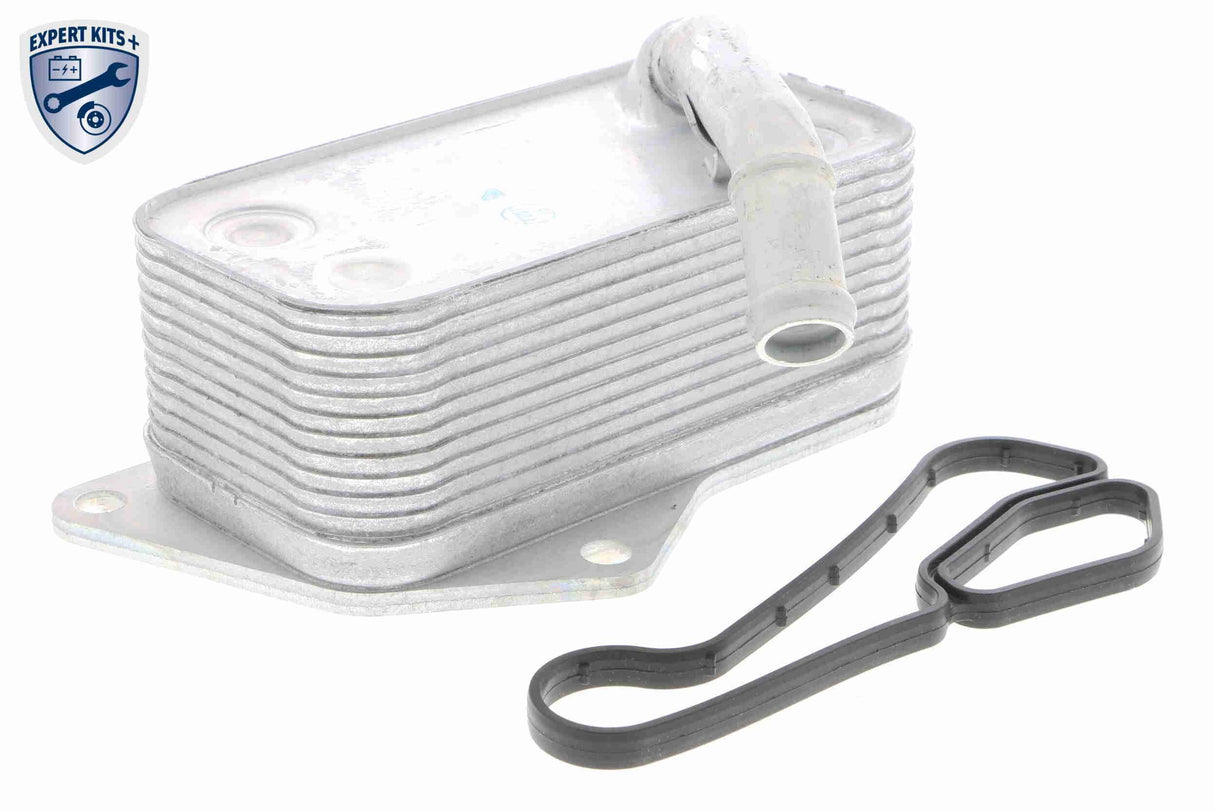 Oil Cooler, engine oil - V20-60-0045