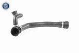 Radiator Hose - V20-2895