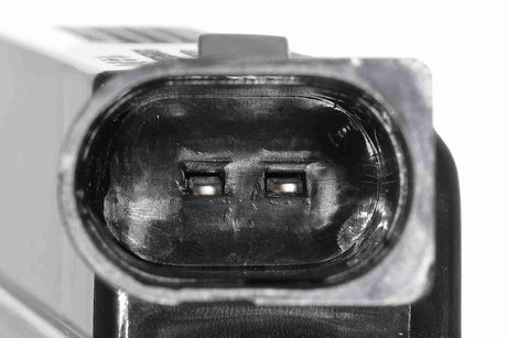 Licence Plate Light - V10-84-0063