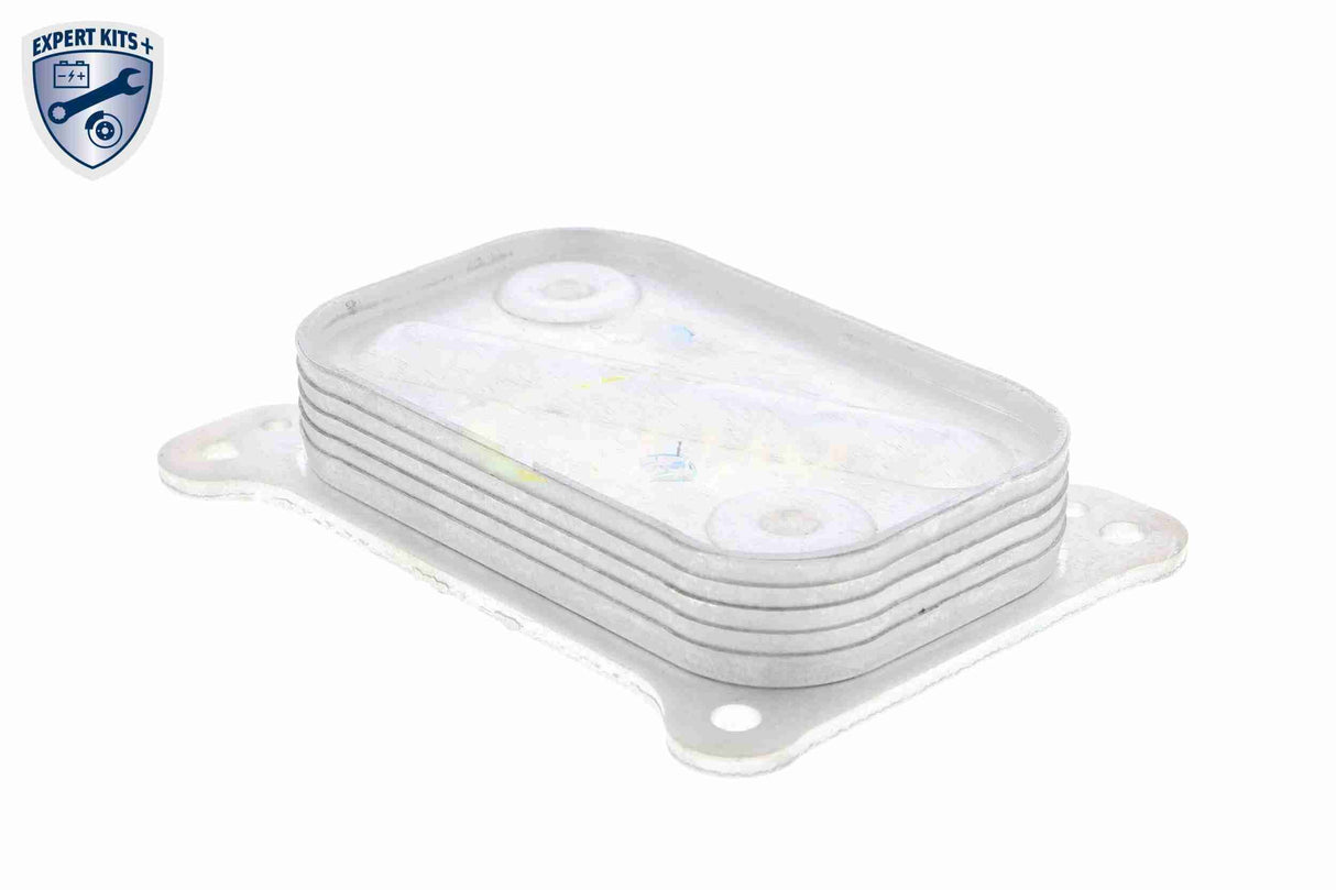 Oil Cooler, engine oil - V24-60-0001