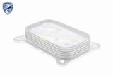 Oil Cooler, engine oil - V24-60-0001