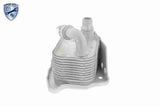 Oil Cooler, engine oil - V20-60-0031