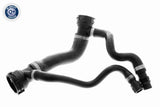 Radiator Hose - V20-1308