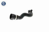 Radiator Hose - V20-2689