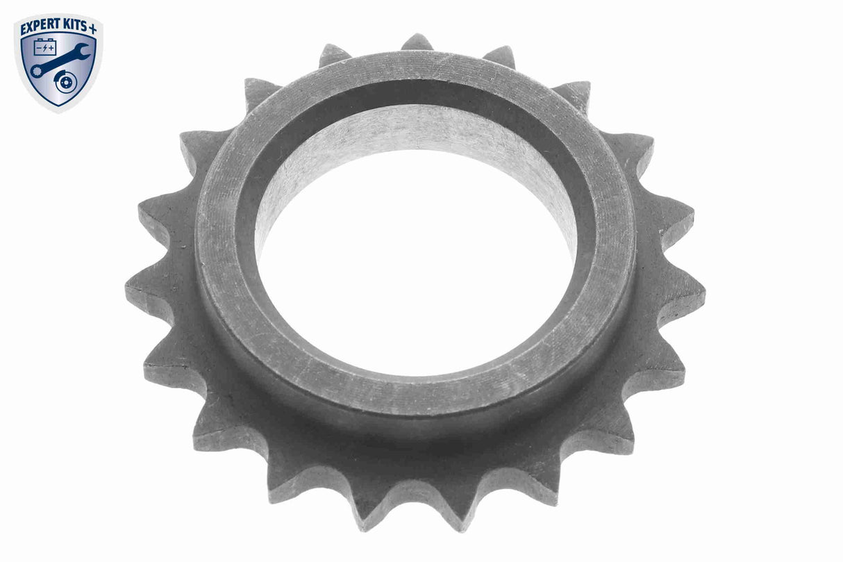Timing Chain Kit - V20-10006