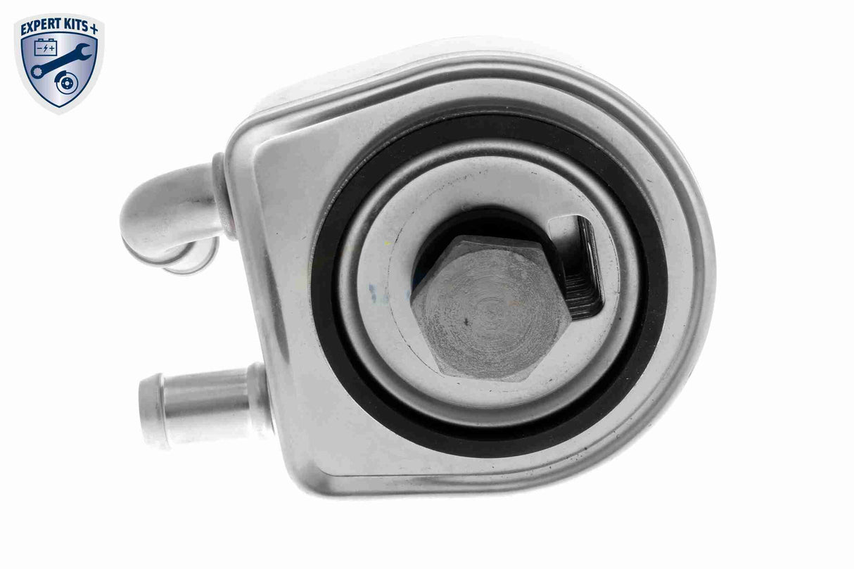 Oil Cooler, automatic transmission - V22-60-0042