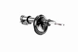 Shock Absorber - V24-0166