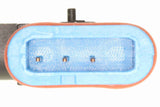 Air Suspension Strut - V30-50-0029