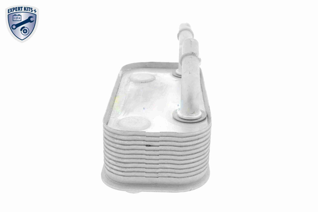 Oil Cooler, engine oil - V20-60-0002