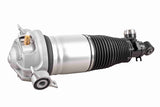 Air Suspension Strut - V10-50-0003