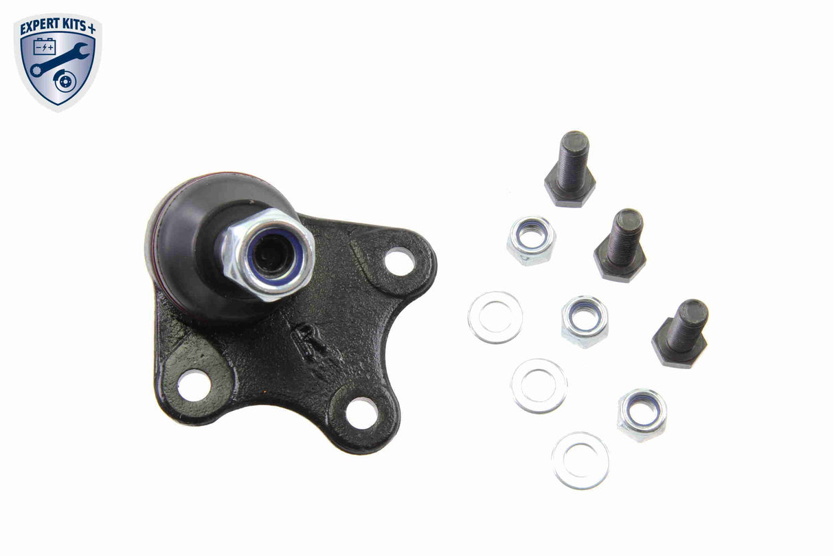 Control/Trailing Arm, wheel suspension - V10-7303