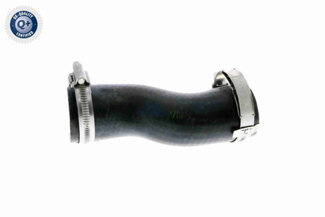 Charge Air Hose - V10-3790