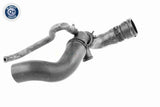 Radiator Hose - V10-3915