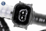 Fuel Line - V22-0662