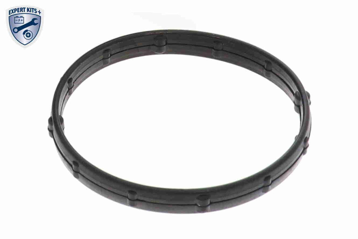 Thermostat Housing - V57-99-0001
