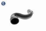 Charge Air Hose - V10-2917