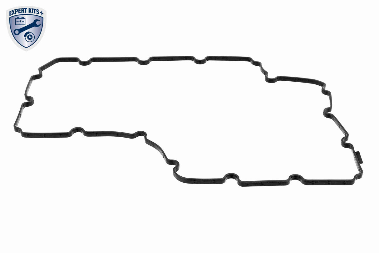 Oil Sump - V10-5578