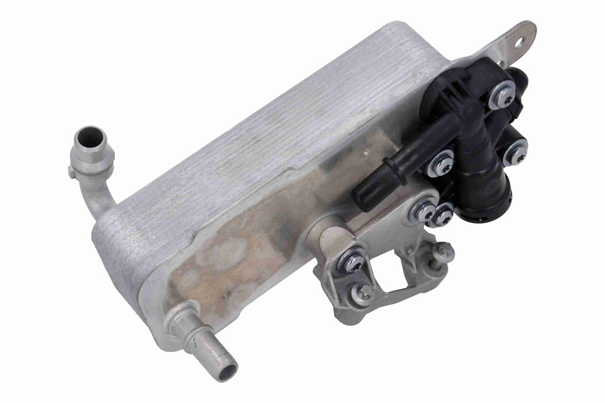 Oil Cooler, automatic transmission - V20-60-0099