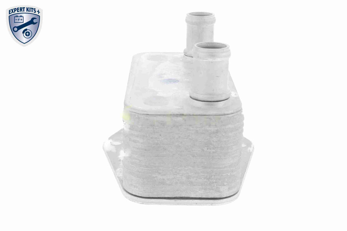 Oil Cooler, engine oil - V20-60-0062