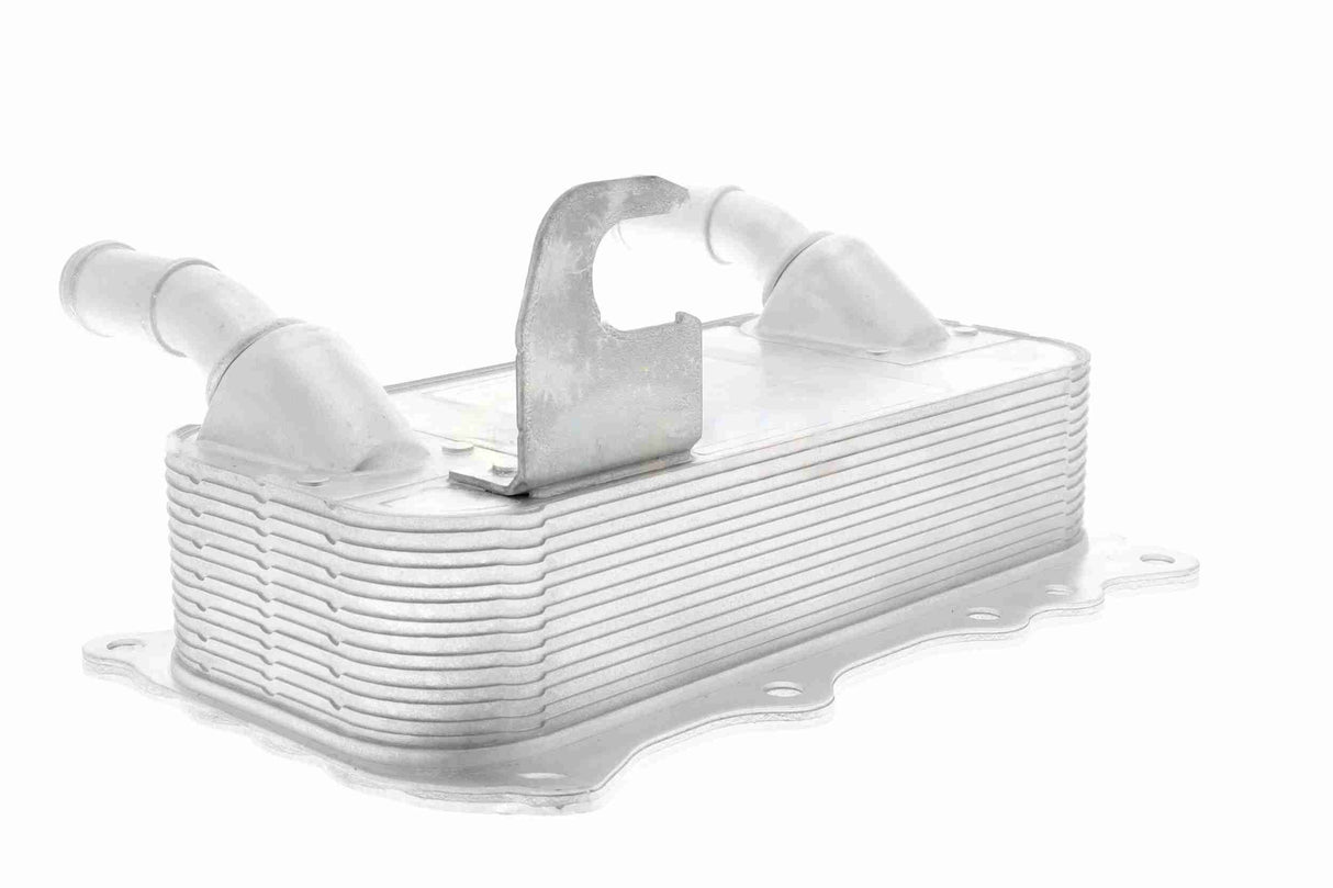 Oil Cooler, engine oil - V45-60-0010