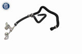Radiator Hose - V24-1281