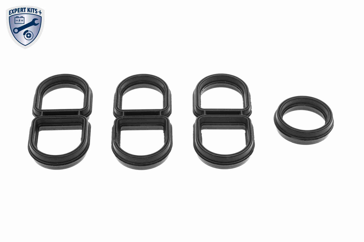 Gasket, oil cooler - V15-60-96062