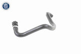 Radiator Hose - V10-2809