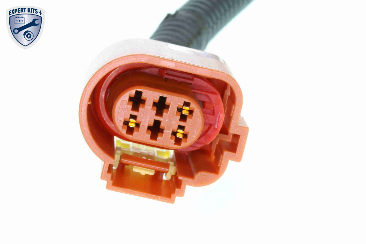 Throttle Body - V24-81-0002