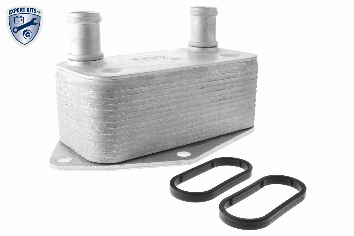 Oil Cooler, engine oil - V20-60-0062