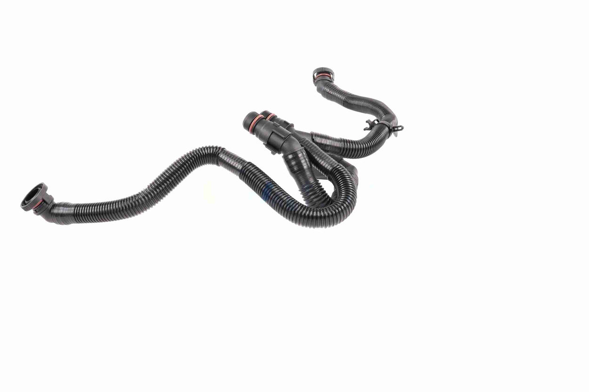 Hose, crankcase ventilation - V10-5458