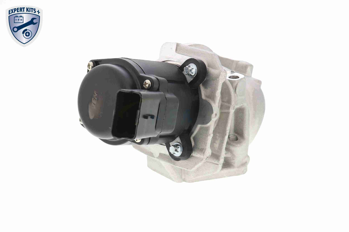 Valve, exhaust gas recirculation - V42-63-0002