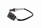Oxygen Sensor - V24-76-0040
