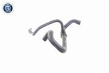 Radiator Hose - V46-0663