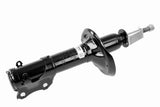 Shock Absorber - V10-1707