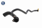Radiator Hose - V20-3041