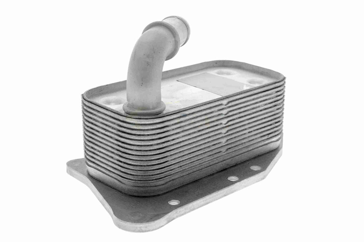 Oil Cooler, engine oil - V40-60-2107
