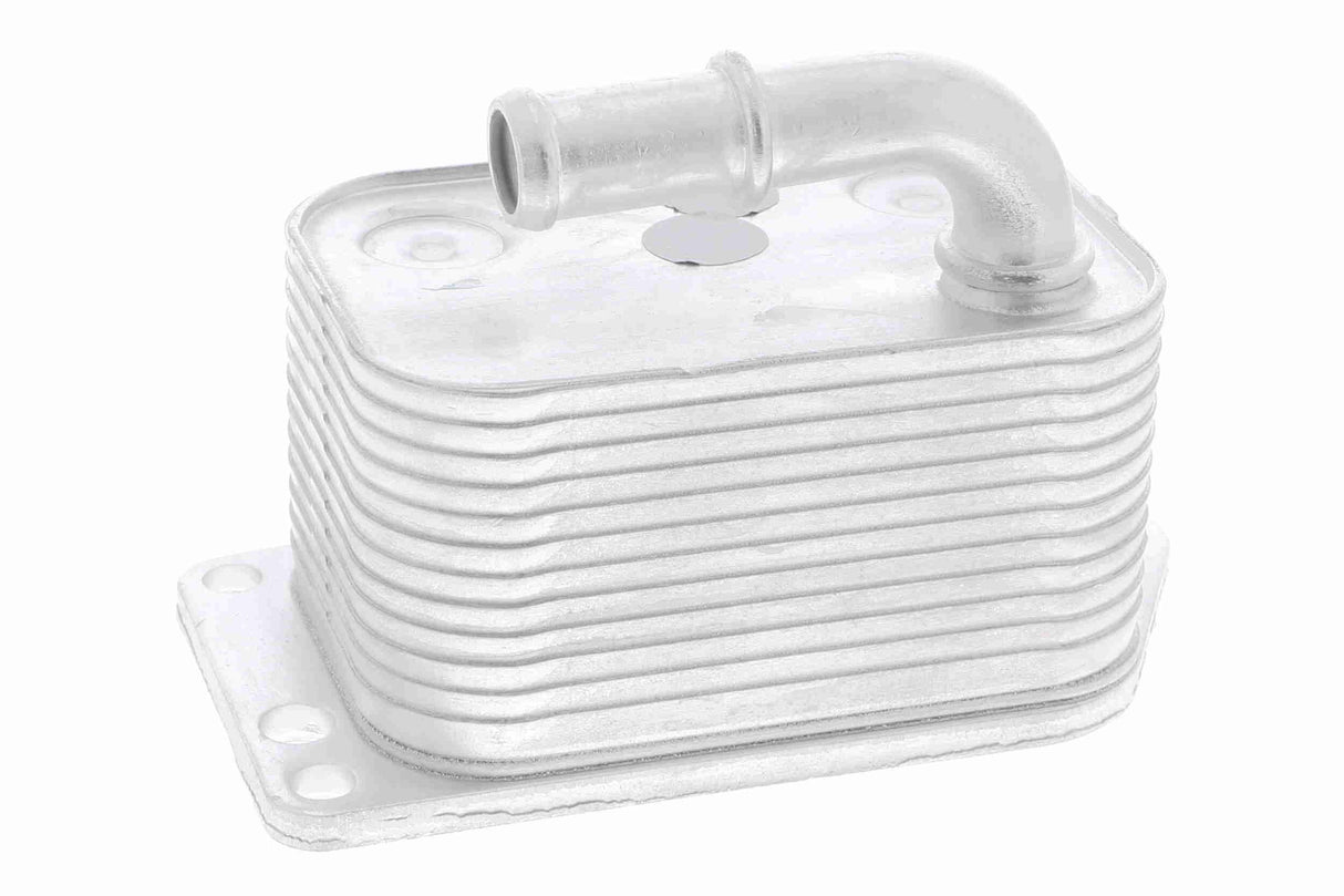 Oil Cooler, engine oil - V42-60-0005