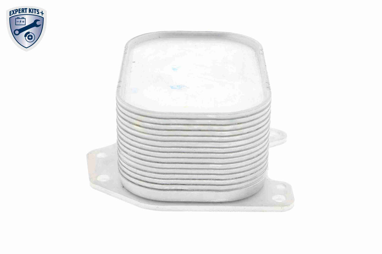 Oil Cooler, engine oil - V15-60-6063