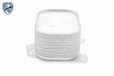Oil Cooler, engine oil - V15-60-6063