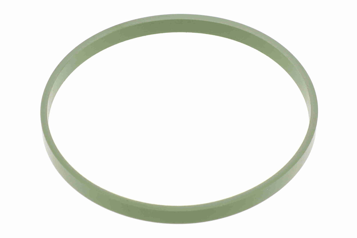 Gasket, throttle body - V20-81-0050