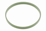Gasket, throttle body - V20-81-0050