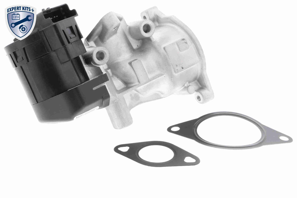 Valve, exhaust gas recirculation - V25-63-0010