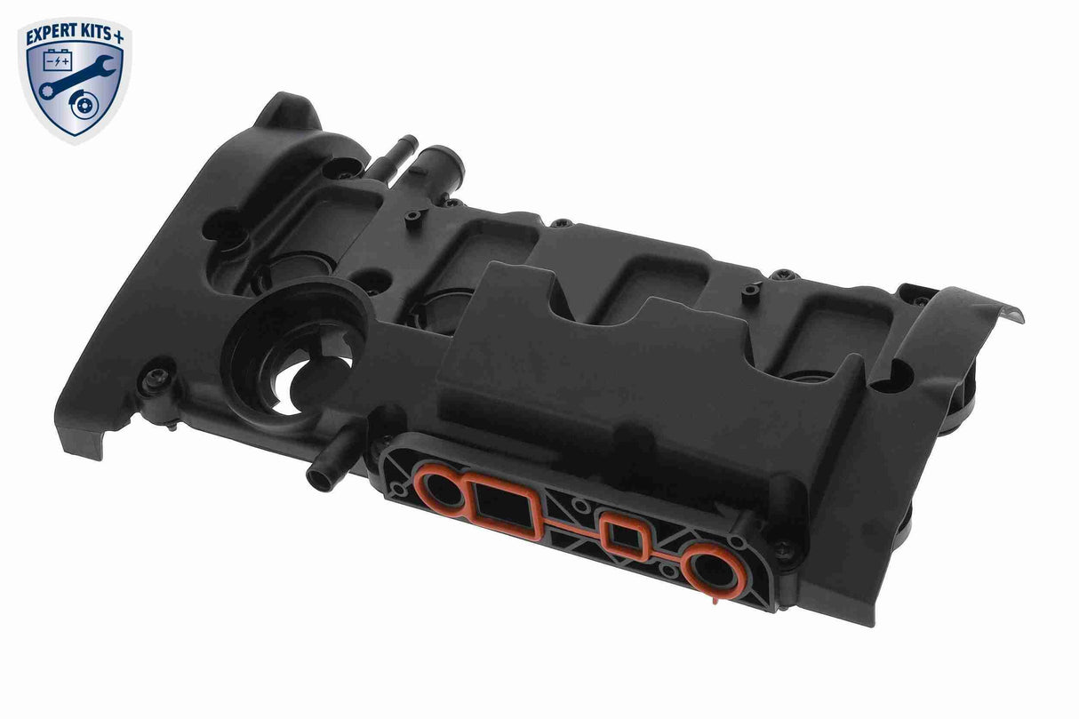 Cylinder Head Cover - V10-4149
