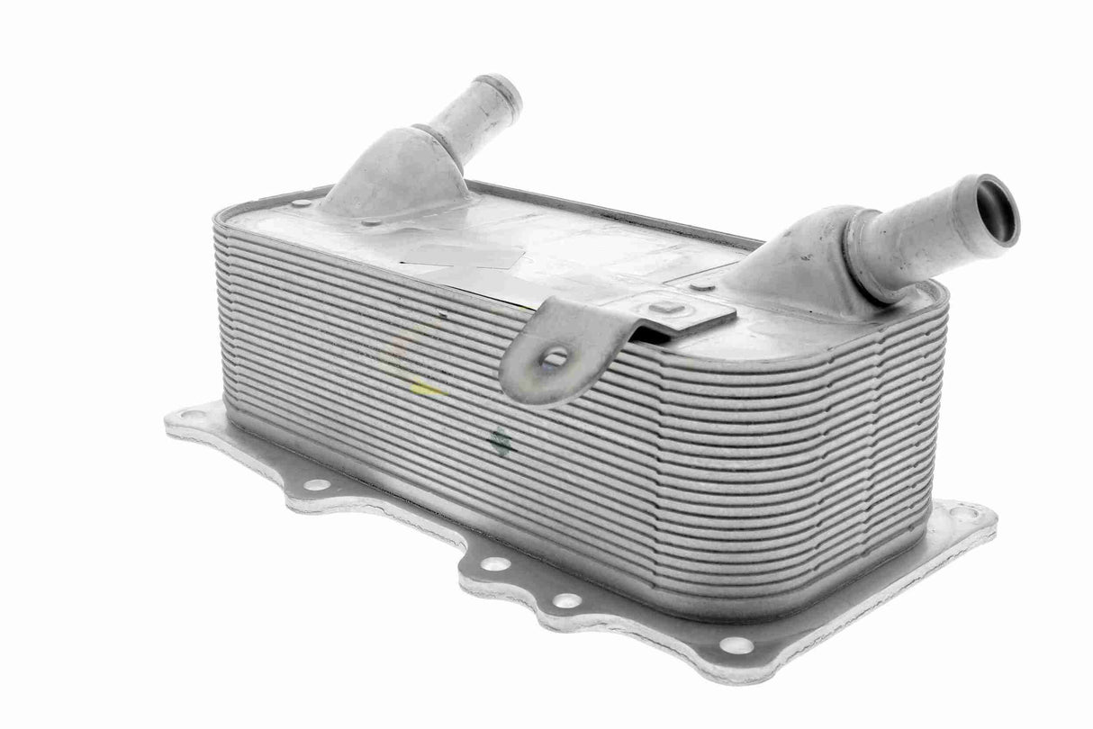 Oil Cooler, engine oil - V45-60-0006