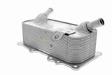 Oil Cooler, engine oil - V45-60-0006