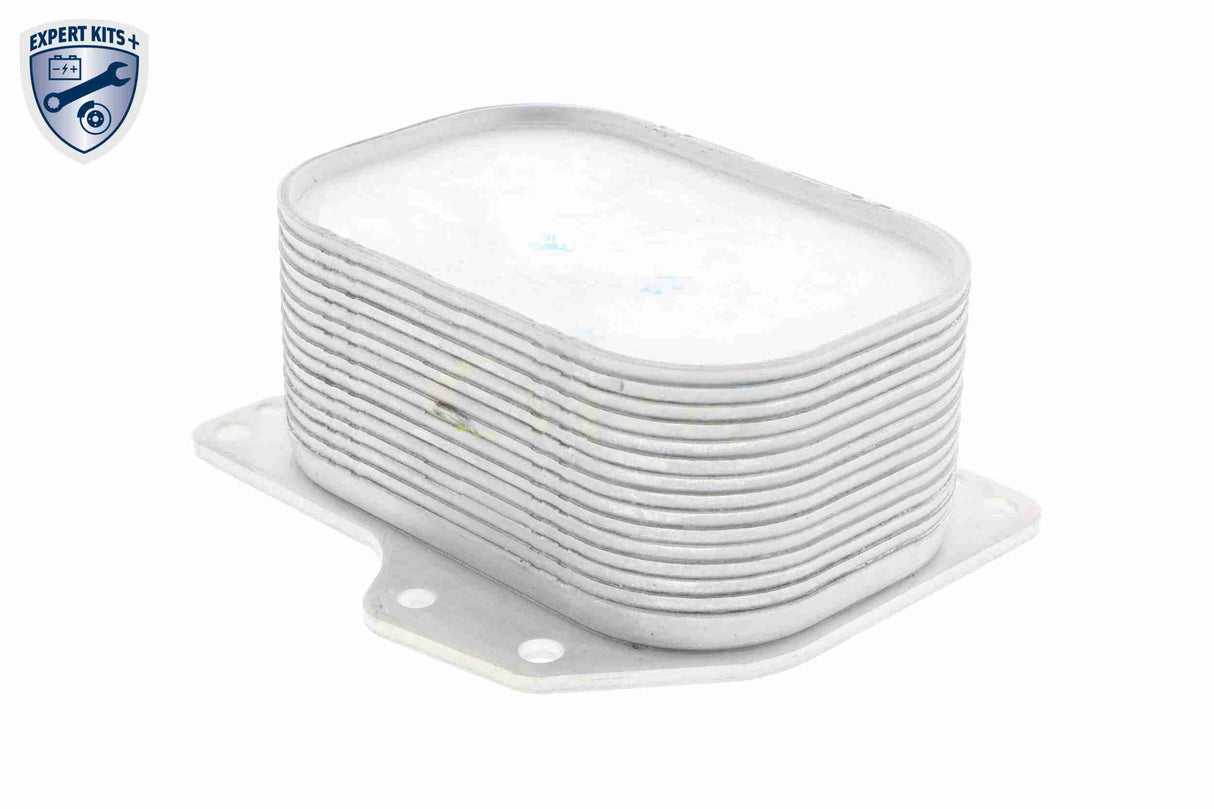 Oil Cooler, engine oil - V15-60-6063