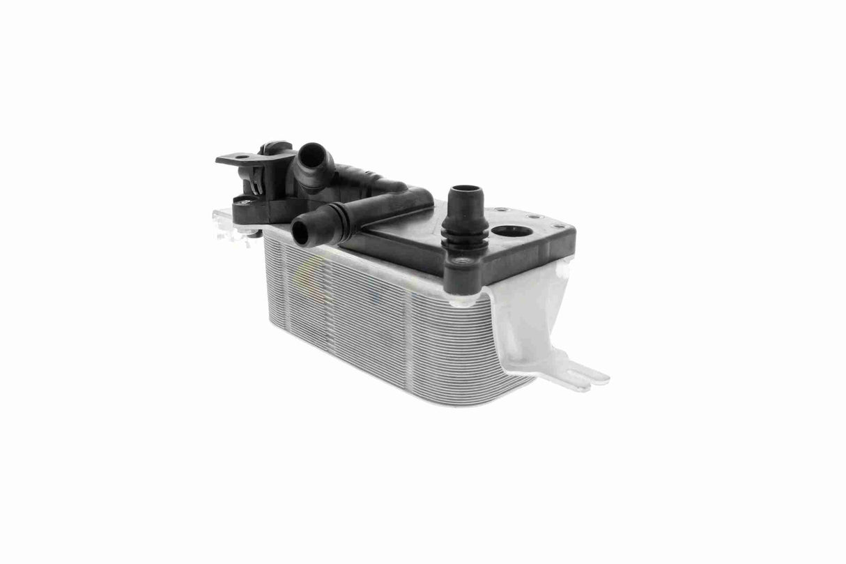 Oil Cooler, engine oil - V20-60-0052