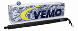 Electric Motor, tailgate - V10-55-0038