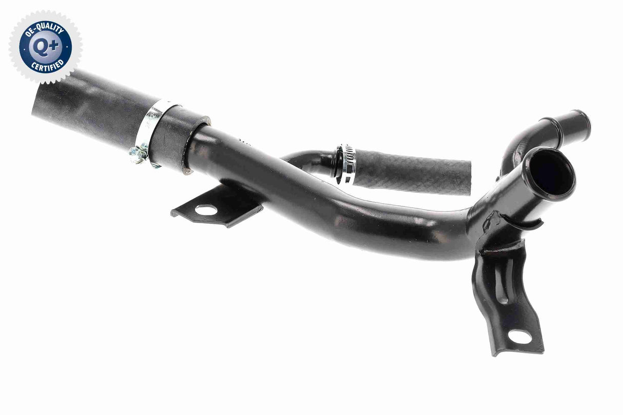 Radiator Hose - V25-2017